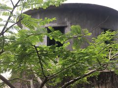 -羚羊峡古栈道森林公园
