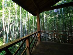 -重庆雨台山风景区