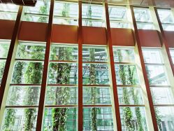 -深圳中洲万豪酒店·宴会厅