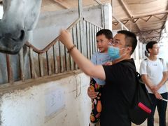 -月河湾马术俱乐部(朝阳店)