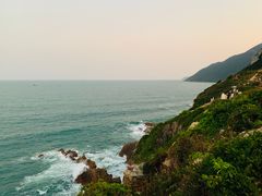 -杨梅坑