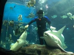 -北海·海洋之窗