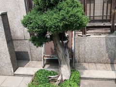 -缥缈峰景区