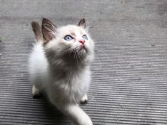 -佳雯宠物医院(金华南路分院)