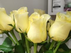 -循礼门鲜花花市(武汉循礼门店)