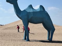 -银肯塔拉沙漠生态旅游景区