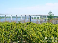 -永定河休闲森林公园