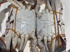 -聚盛源蒸汽海鲜火锅烤肉自助(巨川金海岸购物广场店)