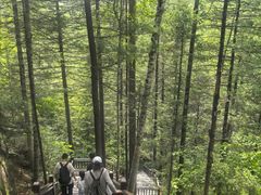 -汤旺河林海奇石景区