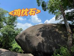 -火炉山森林公园