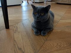 -Me Coffee下午茶艺术空间