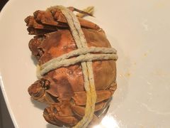 -太湖饭店玉兰厅(自助餐厅)