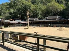 -野象谷景区