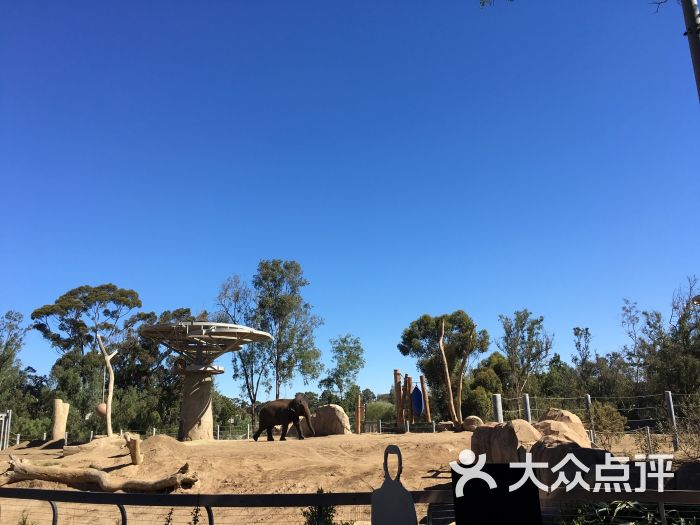 聖迭戈動物園-圖片-聖地亞哥景點玩樂-大眾點評網