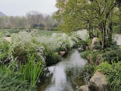 -中国茶叶博物馆(双峰馆区)