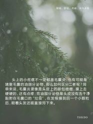 -愉己冥想·护发专门店