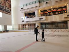 -冰纷万象滑冰场(二七万象城店)