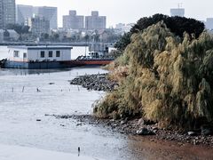 -上海山野camping·户外天幕烧烤·团建拓展营地