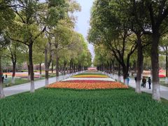 iphone_upload_pic-上海鲜花港