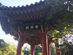 -龙头岩(Dragon Head Rock)