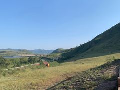 -御道口草原森林风景区
