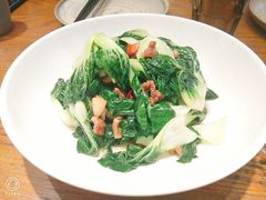 脂渣肉炒奶白菜-必点海鲜·鲅鱼水饺(鞍山西道店)