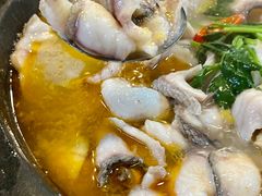 -大鼎石锅鱼(春江里店)