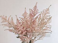 -INSDREAM FLOWER 鲜花预定·花艺培训