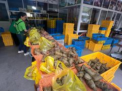 -召稼楼永茂昌粽子大王