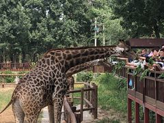 -北京野生动物园