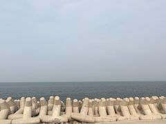 -八分场凉皮老店(正宗)