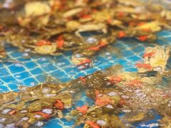 -集品鲜湾·蒸汽海鲜自助料理(青岛银座和谐广场店)