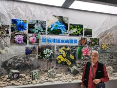 -青藏高原野生动物园