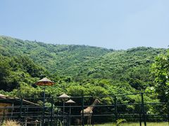 -无锡动物园·太湖欢乐园