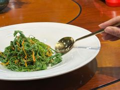 豆苗菜-聚宝渔港.五钻酒家(上地店)