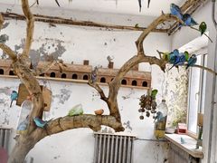 -哈尔滨北方森林动物园