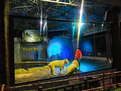 -清迈夜间动物园