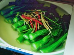 -东鸽皇(奥园·中环广场店)