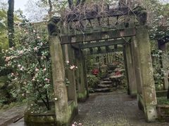 -天一阁博物院