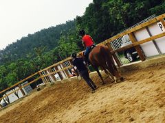 -枫露马术学院(藏书校区)
