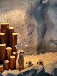 -Zoolung Zoolung动物主题公园(海信广场店)