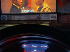 -枫花园汽车电影院(朝阳公园店)