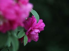 -辽宁大学(崇山校区)
