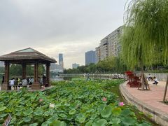 -雁滩公园