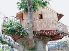 -杭州开元森泊度假乐园