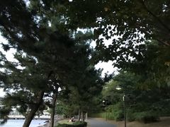 -台场海滨公园船码头