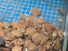 -和源祥·日照菜扛把子(万平口一店)