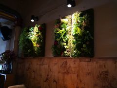 -安琳acKONA咖啡(市南店)