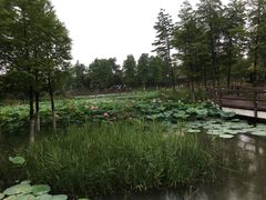 -董永七仙女文化园