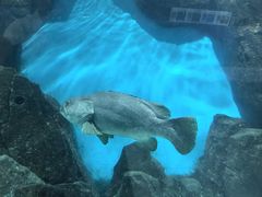 -福州罗源湾海洋世界旅游区